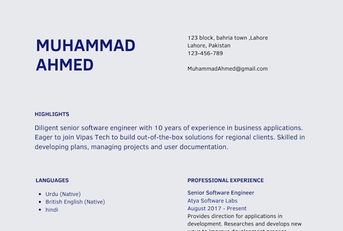 write professional CV and resume for you